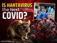 Is Hantavirus the Next COVID? What We Know About the MV Hondius Outbreak So Far - News | Is Hantavirus the Next COVID? What We Know About the MV Hondius Outbreak So Far | Latest health News at Lokmattimes.com Is Hantavirus the Next COVID? What We Know About the MV Hondius Outbreak So Far - News | Is Hantavirus the Next COVID? What We Know About the MV Hondius Outbreak So Far | Latest health News at Lokmattimes.com