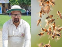 Uttar Pradesh: Umpire Dies, Several Players Injured After Bee Swarm Attack During Cricket Match in Unnao - News | Uttar Pradesh: Umpire Dies, Several Players Injured After Bee Swarm Attack During Cricket Match in Unnao | Latest national News at Lokmattimes.com