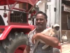 Maharashtra Lok Sabha Election 2024: Wardha Resident Arrives at Polling Booth With Monkey to Cast Vote (Watch Video)