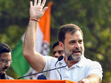 Kerala Election Results 2024: Rahul Gandhi’s Lead at Wayanad Crosses 3 Lakh Kerala Election Results 2024: Rahul Gandhi’s Lead at Wayanad Crosses 3 Lakh