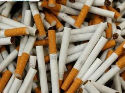 mumbai tobacco industry should follow stringent package warning rules: Supreme Court Mumbai: BMC Cracks Down On