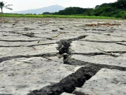 Maharashtra: Nagpur division working on pilot project for e-assessment of losses due to natural calamities | Maharashtra: Nagpur division working on pilot project for e-assessment of losses due to natural calamities