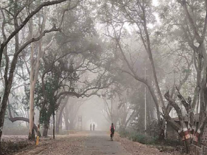 Severity of cold to decrease in three days in Maharashtra | Severity of cold to decrease in three days in Maharashtra