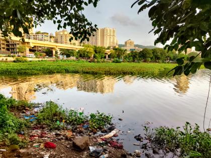 Mumbai: Environmentalists Launch Campaign to Save Powai Lake from Sewage Dumping | Mumbai: Environmentalists Launch Campaign to Save Powai Lake from Sewage Dumping