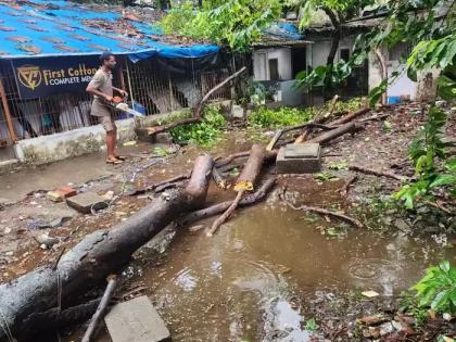 Mumbai: 38-year-old man dies after tree falls amid heavy rains | Mumbai: 38-year-old man dies after tree falls amid heavy rains Mumbai: 38-year-old man dies after tree falls amid heavy rains | Mumbai: 38-year-old man dies after tree falls amid heavy rains