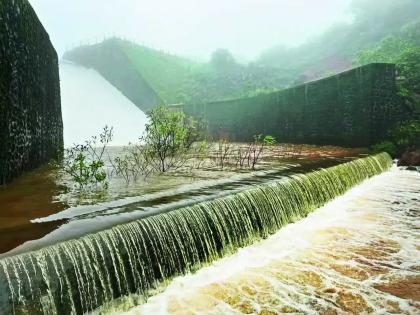 Maharashtra: 24 dams overflowed in Raigad district this monsoon district | Maharashtra: 24 dams overflowed in Raigad district this monsoon district