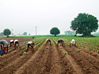 Nagpur: 150 farmers cheated of Rs 113 crore in loan fraud orchestrated by rice mill owner | Nagpur: 150 farmers cheated of Rs 113 crore in loan fraud orchestrated by rice mill owner