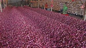 Income Tax officials raid premises of nine onion traders in Nashik | Income Tax officials raid premises of nine onion traders in Nashik