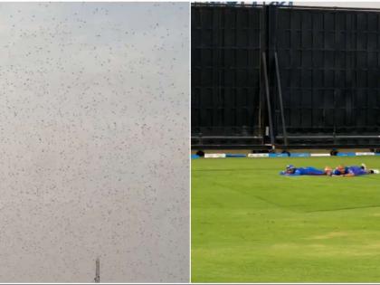 IPL 2022: Mumbai Indians players attacked by bees ahead of clash with Chennai | IPL 2022: Mumbai Indians players attacked by bees ahead of clash with Chennai