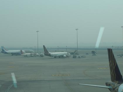 Dense Fog Causes Disruption at Delhi Airport: 10 Flights Diverted, Nearly 100 Delays | Dense Fog Causes Disruption at Delhi Airport: 10 Flights Diverted, Nearly 100 Delays