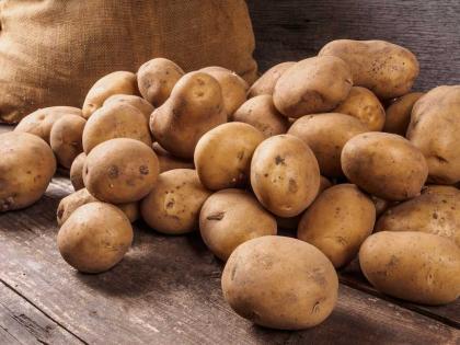 Potato Prices Soar 25% Due to Supply Decline, No Respite Till November | Potato Prices Soar 25% Due to Supply Decline, No Respite Till November