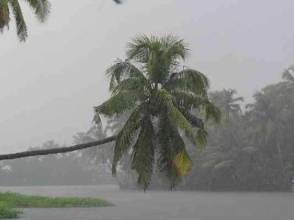 Arrival of monsoon to be delayed in Kerala | Arrival of monsoon to be delayed in Kerala Arrival of monsoon to be delayed in Kerala | Arrival of monsoon to be delayed in Kerala