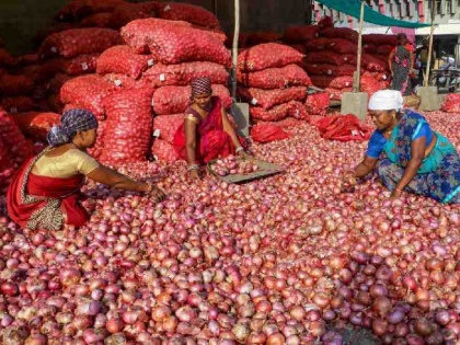 Onion prices rise amid festive season due to supply shortage | Onion prices rise amid festive season due to supply shortage
