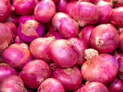 Onion Supply Surges in Maharashtra: Will Farmers Survive the Price Crash? | Onion Supply Surges in Maharashtra: Will Farmers Survive the Price Crash? Onion Supply Surges in Maharashtra: Will Farmers Survive the Price Crash? | Onion Supply Surges in Maharashtra: Will Farmers Survive the Price Crash?