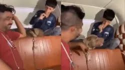 Mumbai: Man Arrested After Letting Pit Bull Attack 11-Year-Old Boy in Mankhurd (Watch Video) | Mumbai: Man Arrested After Letting Pit Bull Attack 11-Year-Old Boy in Mankhurd (Watch Video) Mumbai: Man Arrested After Letting Pit Bull Attack 11-Year-Old Boy in Mankhurd (Watch Video) | Mumbai: Man Arrested After Letting Pit Bull Attack 11-Year-Old Boy in Mankhurd (Watch Video)