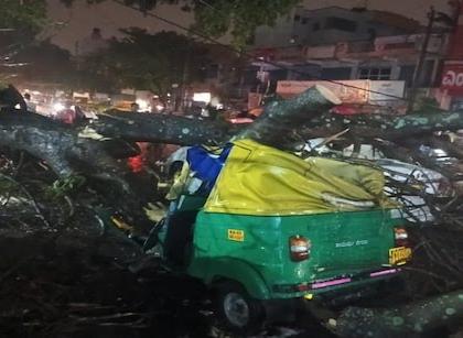 Heavy Rains in Bengaluru: Auto Driver Dies After Tree Falls on Vehicle | Heavy Rains in Bengaluru: Auto Driver Dies After Tree Falls on Vehicle Heavy Rains in Bengaluru: Auto Driver Dies After Tree Falls on Vehicle | Heavy Rains in Bengaluru: Auto Driver Dies After Tree Falls on Vehicle
