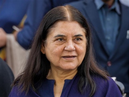 ‘ISKCON biggest cheater, sells cows to butchers,’ says Maneka Gandhi | ‘ISKCON biggest cheater, sells cows to butchers,’ says Maneka Gandhi