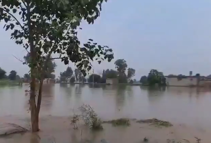 Punjab Floods: Death Toll Rises to 46, Three More Lives Lost in Amritsar and Rupnagar | Punjab Floods: Death Toll Rises to 46, Three More Lives Lost in Amritsar and Rupnagar Punjab Floods: Death Toll Rises to 46, Three More Lives Lost in Amritsar and Rupnagar | Punjab Floods: Death Toll Rises to 46, Three More Lives Lost in Amritsar and Rupnagar