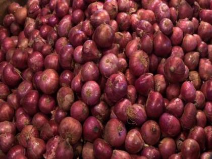 Price of onions increases in Nagpur and Bhopal | Price of onions increases in Nagpur and Bhopal