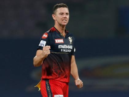 Head coach Andy Flower reveals why RCB released Josh Hazlewood ahead of IPL 2024 auction | Head coach Andy Flower reveals why RCB released Josh Hazlewood ahead of IPL 2024 auction