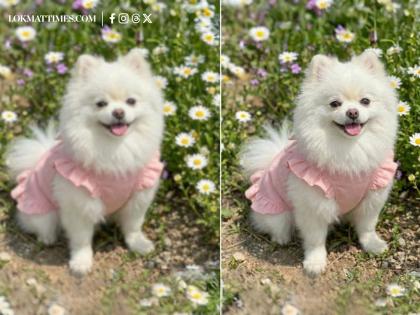6 Top Image Upscalers to Transform Your Low-Resolution Photos | 6 Top Image Upscalers to Transform Your Low-Resolution Photos 6 Top Image Upscalers to Transform Your Low-Resolution Photos | 6 Top Image Upscalers to Transform Your Low-Resolution Photos