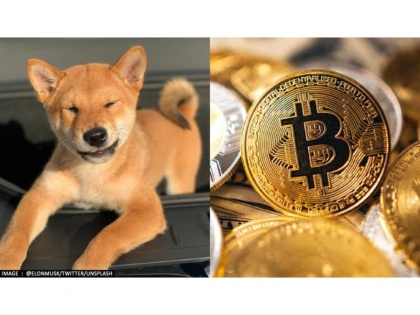 Shiba Inu up by 45 per cent in last 24 hours; check out reason why it's going up | Shiba Inu up by 45 per cent in last 24 hours; check out reason why it's going up