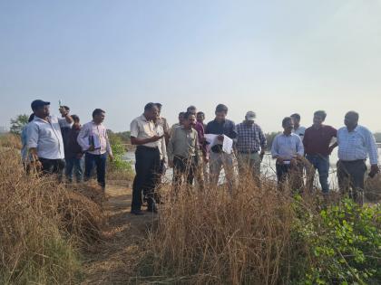 Outrage in Navi Mumbai as Over 100 Mangroves Illegally Hacked near T.S. Chanakya | Outrage in Navi Mumbai as Over 100 Mangroves Illegally Hacked near T.S. Chanakya
