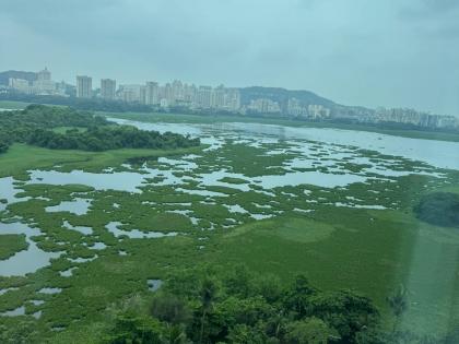 Green Tribunal Orders Joint Inspection and Cleanup Plan | Green Tribunal Orders Joint Inspection and Cleanup Plan