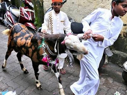 Eid-al-Adha 2025: Goat Slaughter Sparks Tensions in Ghatkopar Housing Society | Eid-al-Adha 2025: Goat Slaughter Sparks Tensions in Ghatkopar Housing Society
