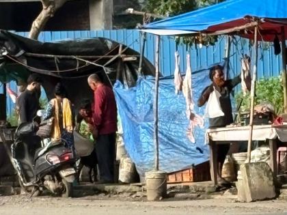 DGCA Cracks Down on Illegal Slaughter Near Navi Mumbai Airport to Prevent Bird Strikes | DGCA Cracks Down on Illegal Slaughter Near Navi Mumbai Airport to Prevent Bird Strikes