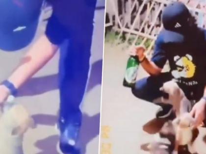 Animal Cruelty Caught On Camera: Man Feeds Beer to Puppy for Instagram Reel; Uttar Pradesh Police Initiates Investigation (Watch Video)