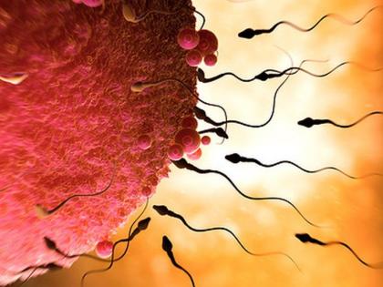 No Egg or Sperm Required for Baby? Scientists Create Human Embryo With No Egg and Sperm | No Egg or Sperm Required for Baby? Scientists Create Human Embryo With No Egg and Sperm