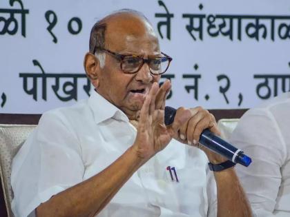 BJP talk of providing stable govt but break duly elected govt: Sharad Pawar | BJP talk of providing stable govt but break duly elected govt: Sharad Pawar