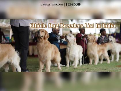 A List Of Ethical Dog Breeders In India | A List Of Ethical Dog Breeders In India