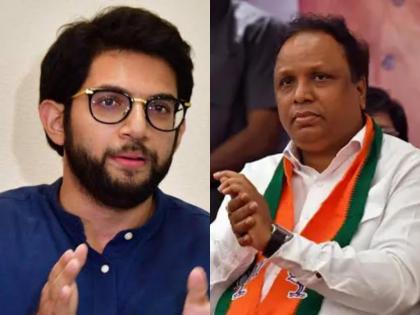 Shiv Sena (UBT) Spreading False Narratives About Dharavi Redevelopment: Ashish Shelar