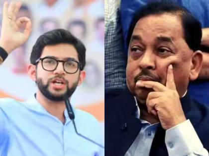 Maharashtra: Aaditya Thackeray Calls Narayan Rane’s Remarks ‘A Reflection of BJP’s True Nature