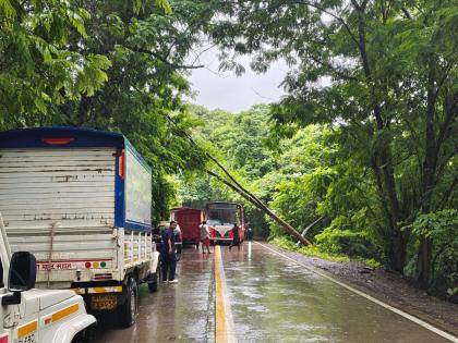Mumbai: Passengers Injured After BEST Bus Collides With Tempo on Aarey Colony Road in Goregaon | Mumbai: Passengers Injured After BEST Bus Collides With Tempo on Aarey Colony Road in Goregaon Mumbai: Passengers Injured After BEST Bus Collides With Tempo on Aarey Colony Road in Goregaon | Mumbai: Passengers Injured After BEST Bus Collides With Tempo on Aarey Colony Road in Goregaon