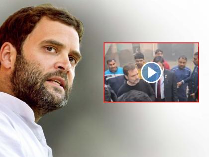 Rahul Gandhi's Unannounced Visit to Haryana Akhara Amidst Wrestling Federation Controversy | Rahul Gandhi's Unannounced Visit to Haryana Akhara Amidst Wrestling Federation Controversy