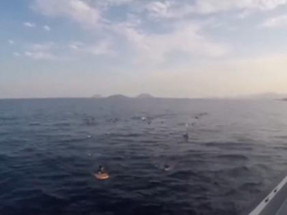 68 African Migrants Dead, Dozens Missing in Shipwreck Off Yemen: UN | 68 African Migrants Dead, Dozens Missing in Shipwreck Off Yemen: UN