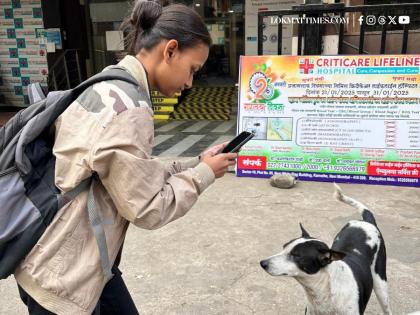Panvel: Municipal Corporation Uses AI to Track Stray Animals, Records Over 19,000 Dogs and 5,000 Cats | Panvel: Municipal Corporation Uses AI to Track Stray Animals, Records Over 19,000 Dogs and 5,000 Cats Panvel: Municipal Corporation Uses AI to Track Stray Animals, Records Over 19,000 Dogs and 5,000 Cats | Panvel: Municipal Corporation Uses AI to Track Stray Animals, Records Over 19,000 Dogs and 5,000 Cats