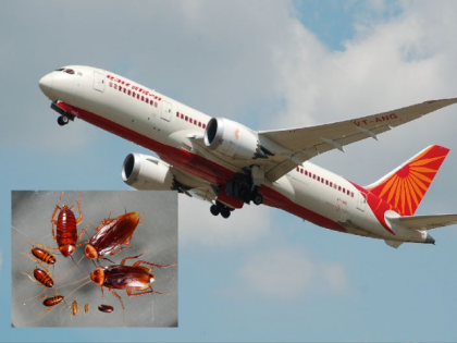 Cockroaches Spotted on Air India Flight from San Francisco to Mumbai; Plane Cleaned in Kolkata | Cockroaches Spotted on Air India Flight from San Francisco to Mumbai; Plane Cleaned in Kolkata Cockroaches Spotted on Air India Flight from San Francisco to Mumbai; Plane Cleaned in Kolkata | Cockroaches Spotted on Air India Flight from San Francisco to Mumbai; Plane Cleaned in Kolkata