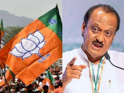 Maharashtra Lok Sabha Election 2024: EC Issues Notices to BJP and Ajit Pawar for Alleged Violations in Campaigning | Maharashtra Lok Sabha Election 2024: EC Issues Notices to BJP and Ajit Pawar for Alleged Violations in Campaigning