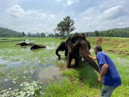 World Elephant Day 2025: 'Understanding Tuskers is First Step to End Man-Animal Conflict' | World Elephant Day 2025: 'Understanding Tuskers is First Step to End Man-Animal Conflict' World Elephant Day 2025: 'Understanding Tuskers is First Step to End Man-Animal Conflict' | World Elephant Day 2025: 'Understanding Tuskers is First Step to End Man-Animal Conflict'
