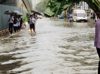 Heavy Rains Batter Mumbai: 32 Short Circuits and 107 Tree Collapse Incidents Reported Between Tuesday and Wednesday Afternoon | Heavy Rains Batter Mumbai: 32 Short Circuits and 107 Tree Collapse Incidents Reported Between Tuesday and Wednesday Afternoon