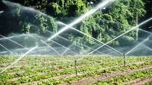 Haryana Budget 2022: Budget provision for Irrigation and Energy sectors | Haryana Budget 2022: Budget provision for Irrigation and Energy sectors Haryana Budget 2022: Budget provision for Irrigation and Energy sectors | Haryana Budget 2022: Budget provision for Irrigation and Energy sectors