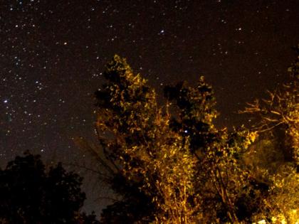 Maharashtra, Pench Tiger Reserve Earns Prestigious Distinction as India's First Dark Sky Park | Maharashtra, Pench Tiger Reserve Earns Prestigious Distinction as India's First Dark Sky Park