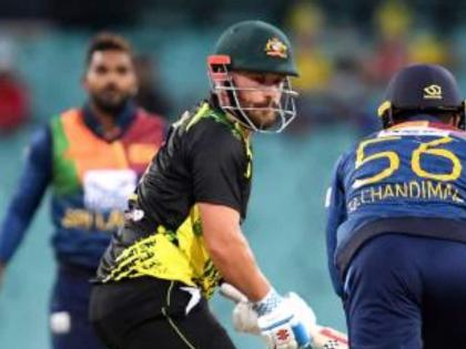 T20 World Cup 2022: Australia opt to bowl in do or die clash | T20 World Cup 2022: Australia opt to bowl in do or die clash
