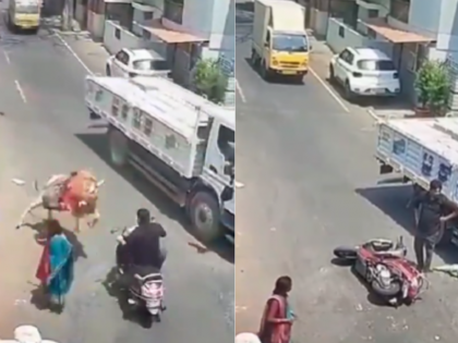 WATCH: Bull Attacks Motorcyclist in Bengaluru, Shocking Incident Caught on Camera | WATCH: Bull Attacks Motorcyclist in Bengaluru, Shocking Incident Caught on Camera