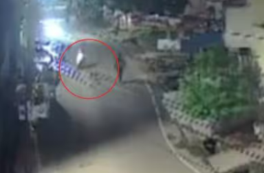 Bhilai: 17-Year-Old Boy Dies After Scooter Crashes While Avoiding Stray Dog; CCTV Footage Goes Viral (VIDEO) | Bhilai: 17-Year-Old Boy Dies After Scooter Crashes While Avoiding Stray Dog; CCTV Footage Goes Viral (VIDEO) Bhilai: 17-Year-Old Boy Dies After Scooter Crashes While Avoiding Stray Dog; CCTV Footage Goes Viral (VIDEO) | Bhilai: 17-Year-Old Boy Dies After Scooter Crashes While Avoiding Stray Dog; CCTV Footage Goes Viral (VIDEO)
