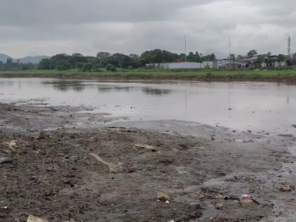 Bhiwandi: Severed Head of Unidentified Woman Found Near Creek; Police Launch Probe | Bhiwandi: Severed Head of Unidentified Woman Found Near Creek; Police Launch Probe Bhiwandi: Severed Head of Unidentified Woman Found Near Creek; Police Launch Probe | Bhiwandi: Severed Head of Unidentified Woman Found Near Creek; Police Launch Probe